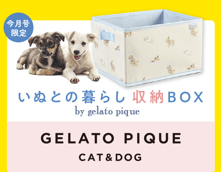 今月号限定 いぬとの暮らし収納BOX