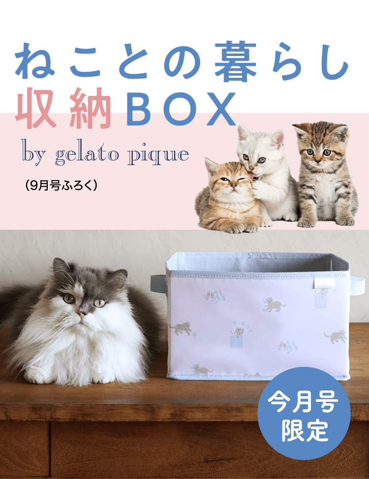 ねことの暮らし収納BOX by gelato pique (9月号ふろく)