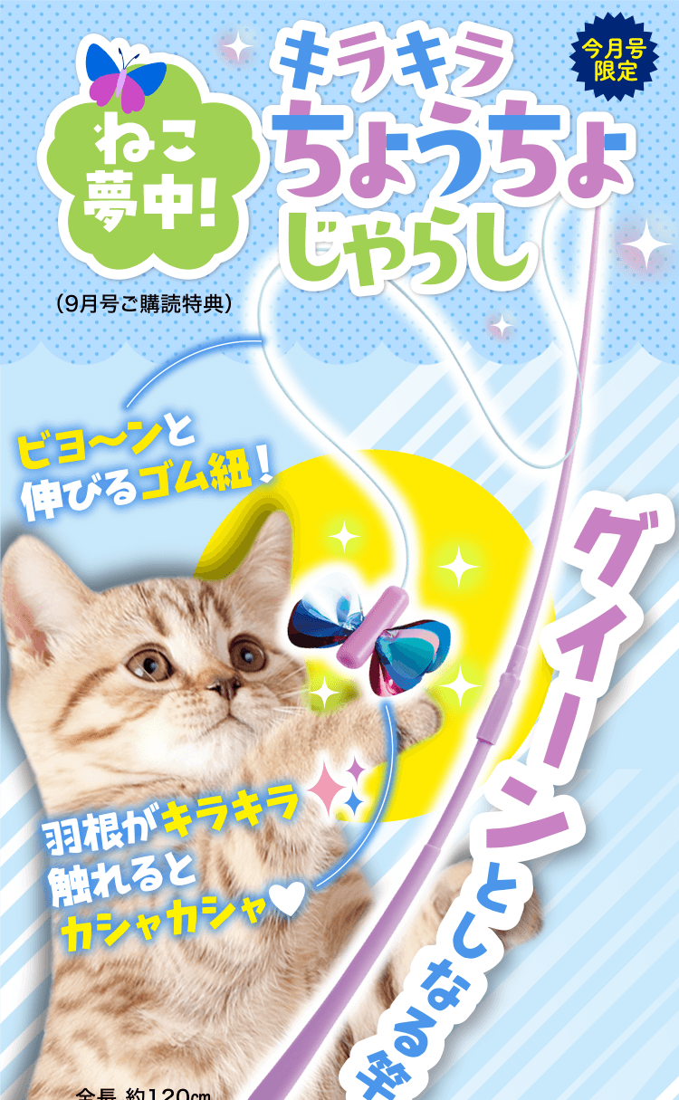 ねこ夢中!キラキラちょうちょじゃらし (9月号ご購読特典)