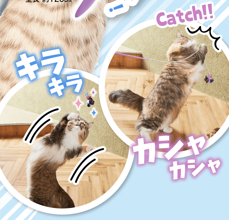 グイーンとしなる竿!ビヨ〜ンと伸びるゴム紐! 羽根がキラキラ触れるとカシャカシャ♥