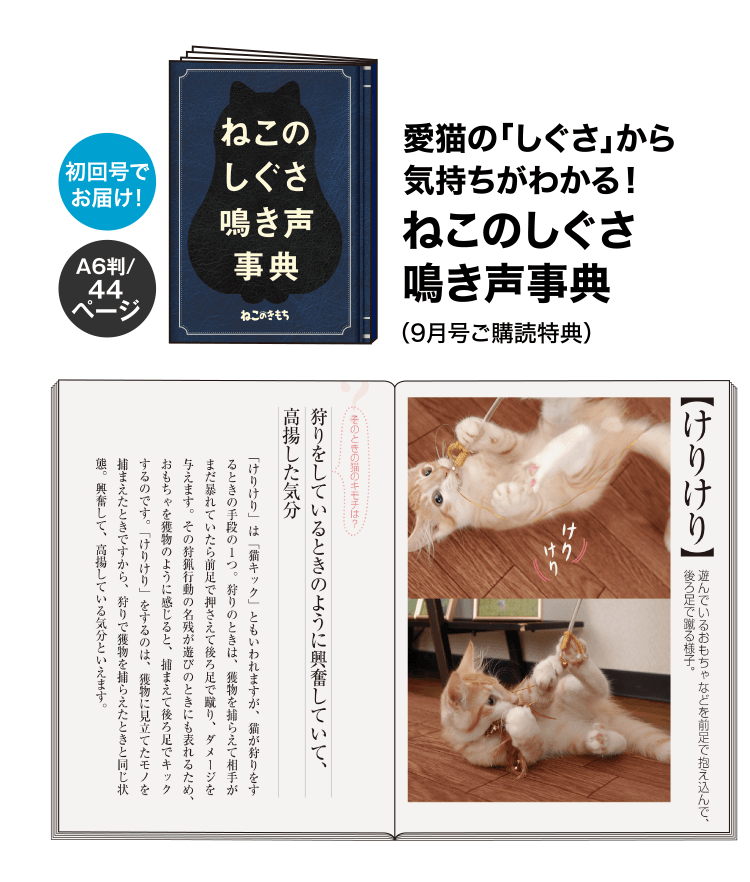 愛猫の「しぐさ」から気持ちがわかる! ねこのしぐさ鳴き声事典(9月号ご購読特典)