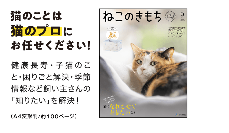 猫のことは猫のプロにお任せください！[A4判／約100ページ]