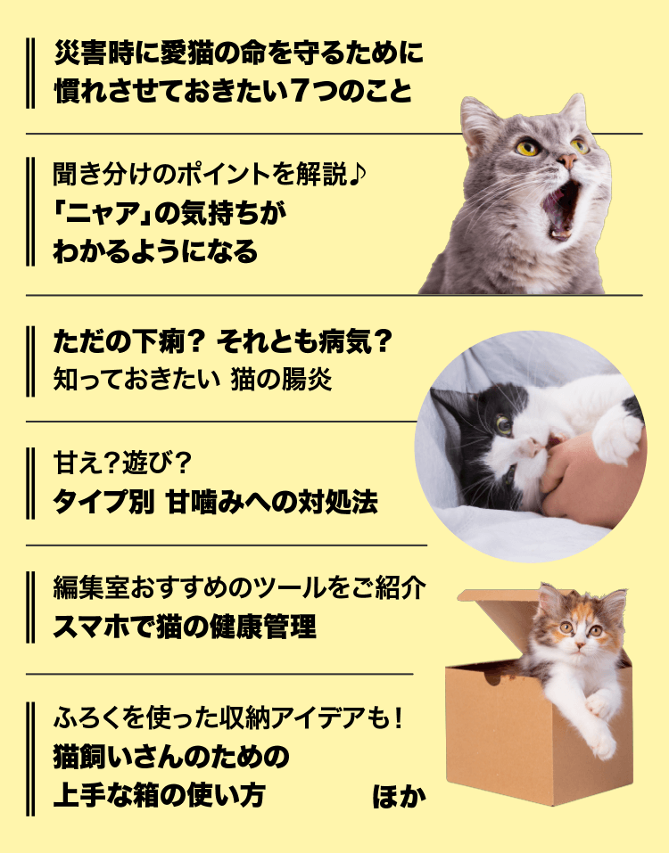 注目特集