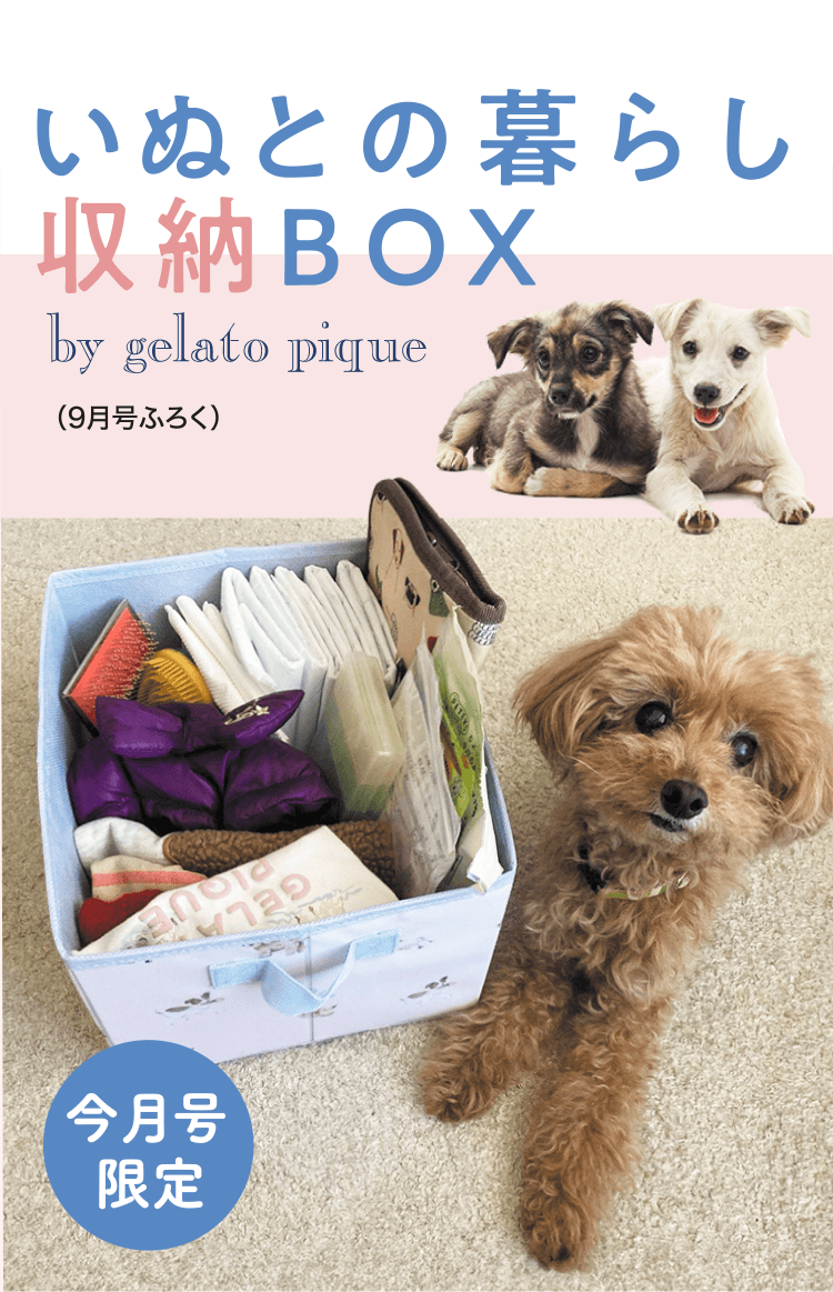 いぬとの暮らし収納BOX by gelato pique（9月号ふろく）