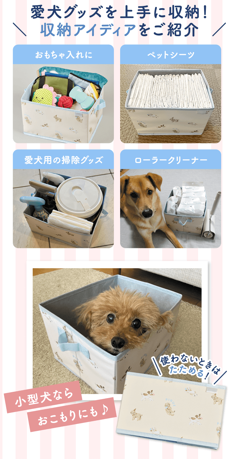 特典・ふろくのご紹介| 愛犬の健康・育て方がわかる雑誌「いぬのきもち