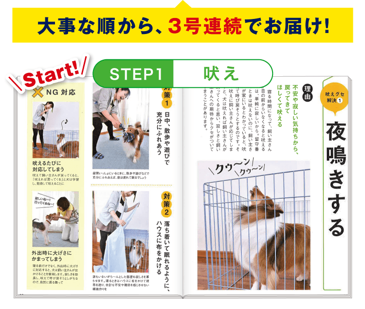 STEP1 ≪吠え≫