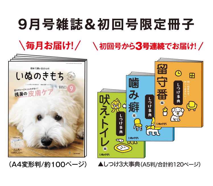9月号雑誌＆初回号限定冊子