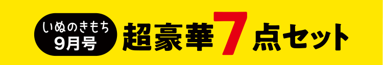 いぬのきもち9月号