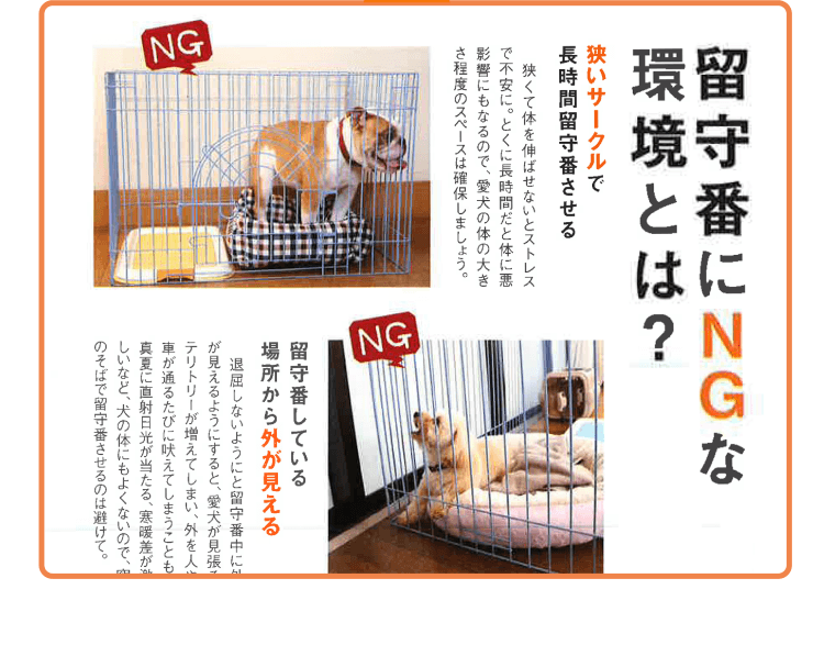 留守番にNGな環境とは?