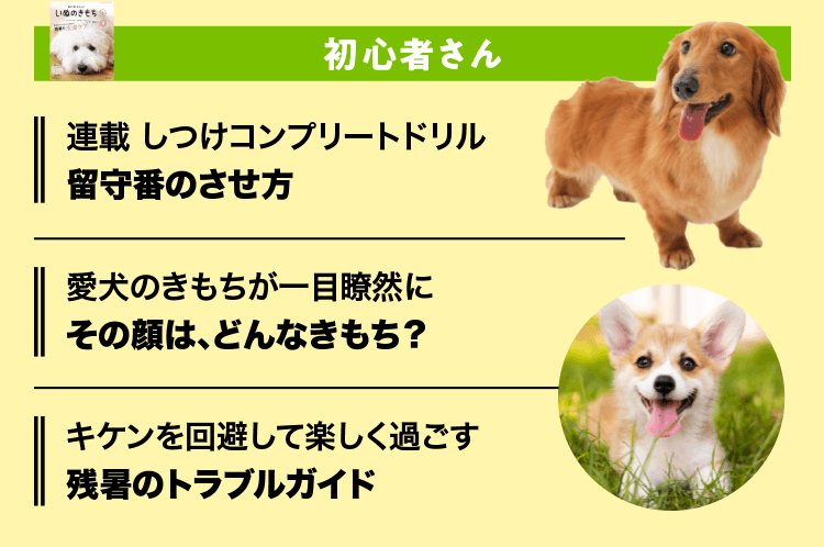 いぬのきもち　初心者さん