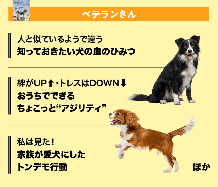 いぬのきもち　ベテランさん