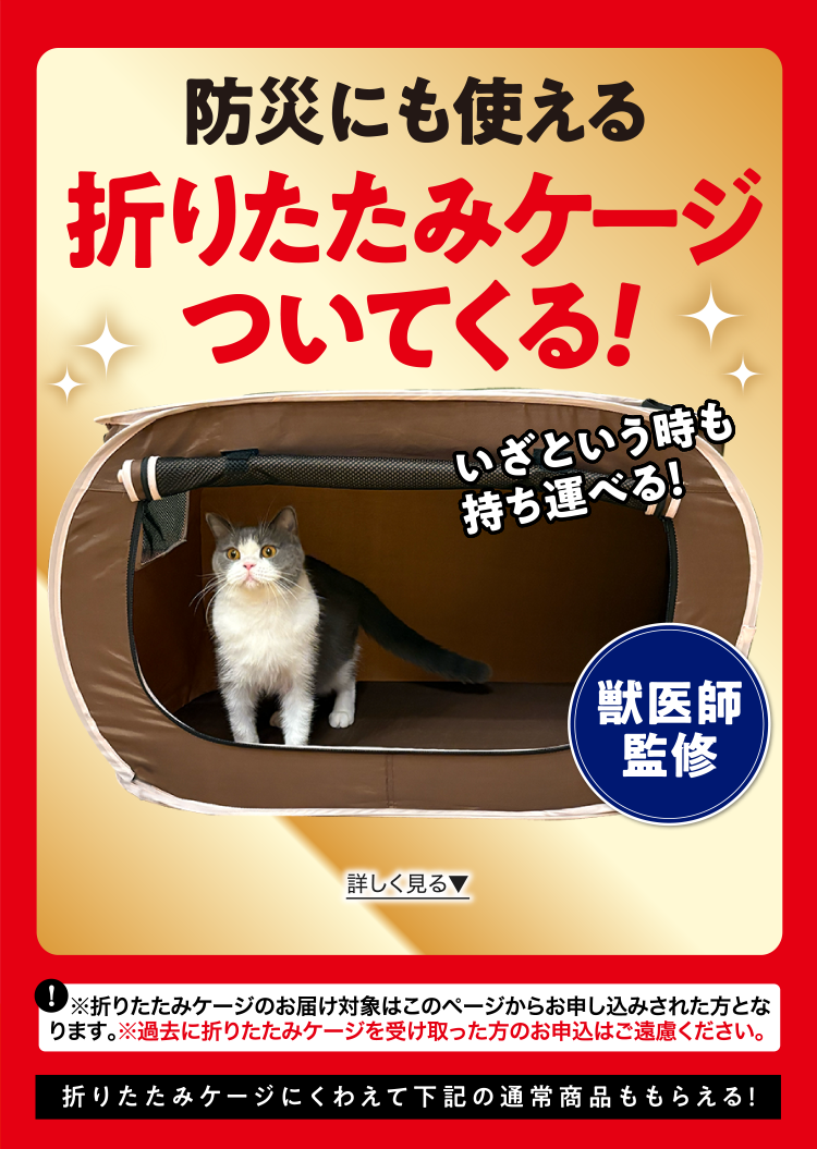 防災にも使える折りたたみケージついてくる! いざという時も持ち運べる！ 獣医師監修