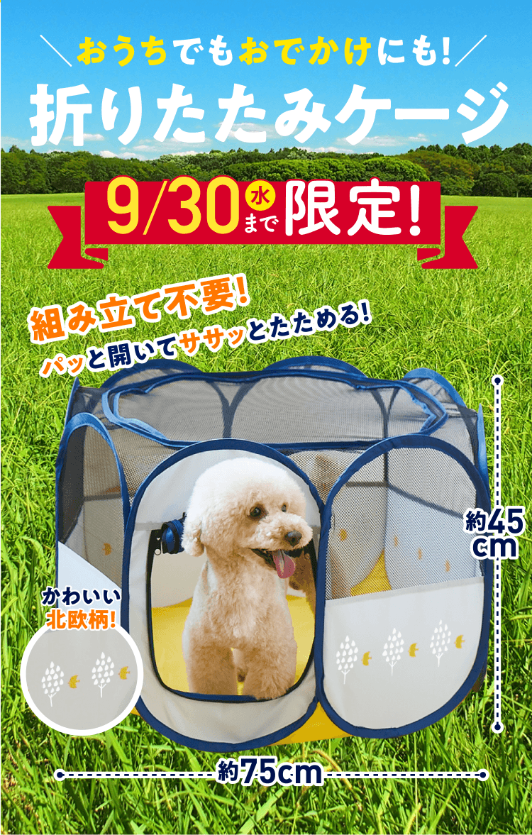 ＼おうちでもおでかけにも！／折りたたみケージ 9/30水まで限定! 組み立て不要！パッと開いてササッとたためる！