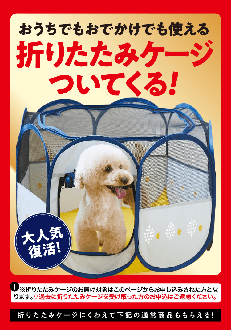 おうちでもおでかけでも使える折りたたみケージついてくる! 大人気復活！