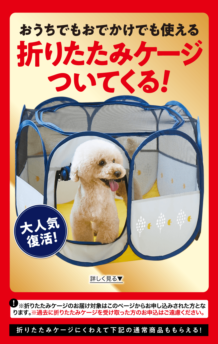おうちでもおでかけでも使える 折りたたみケージついてくる! 大人気復活！