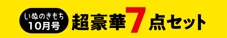 いぬのきもち10月号