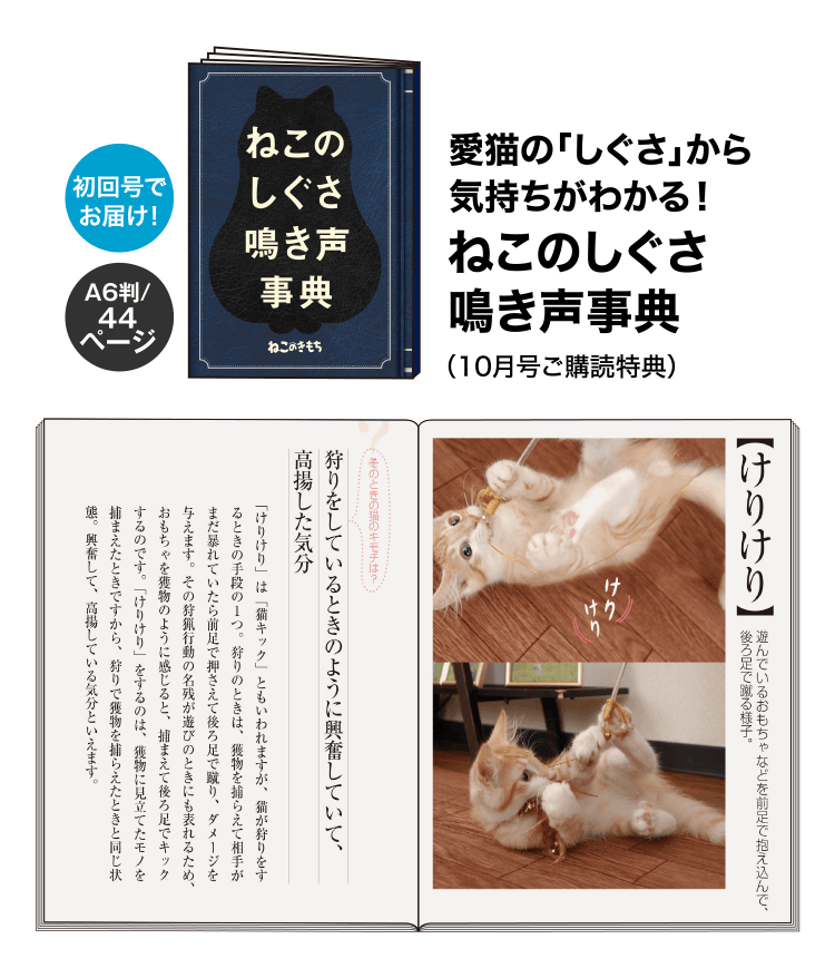 愛猫の「しぐさ」から気持ちがわかる！ねこのしぐさ鳴き声事典（10月号ご購読特典）