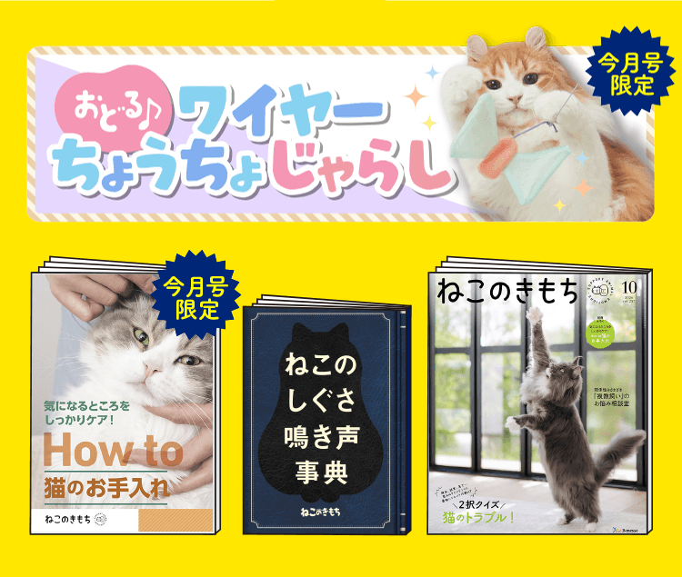 超豪華5点セット