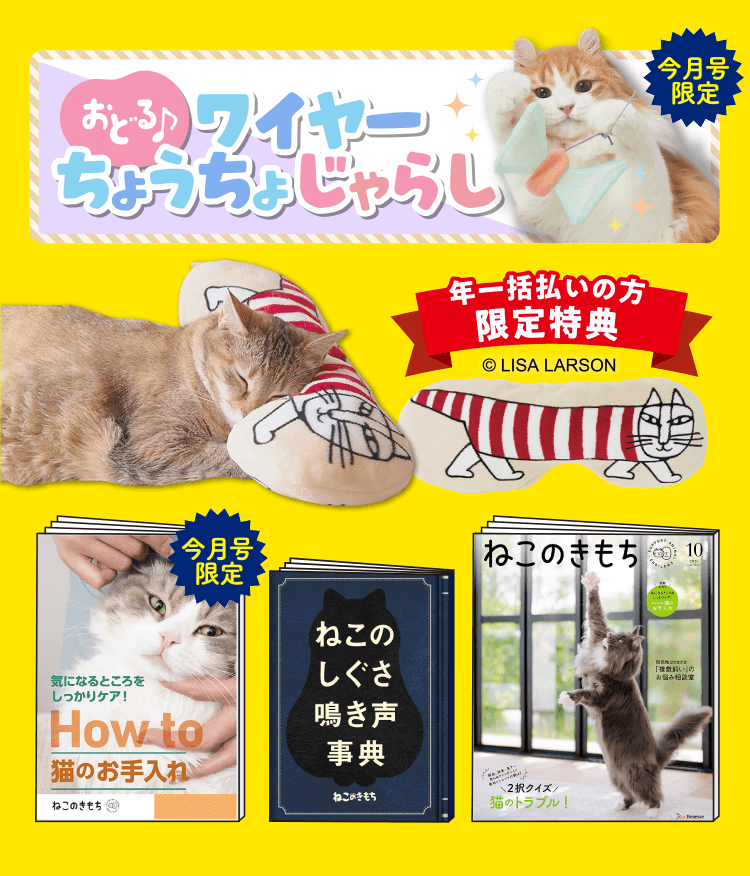 超豪華5点セット