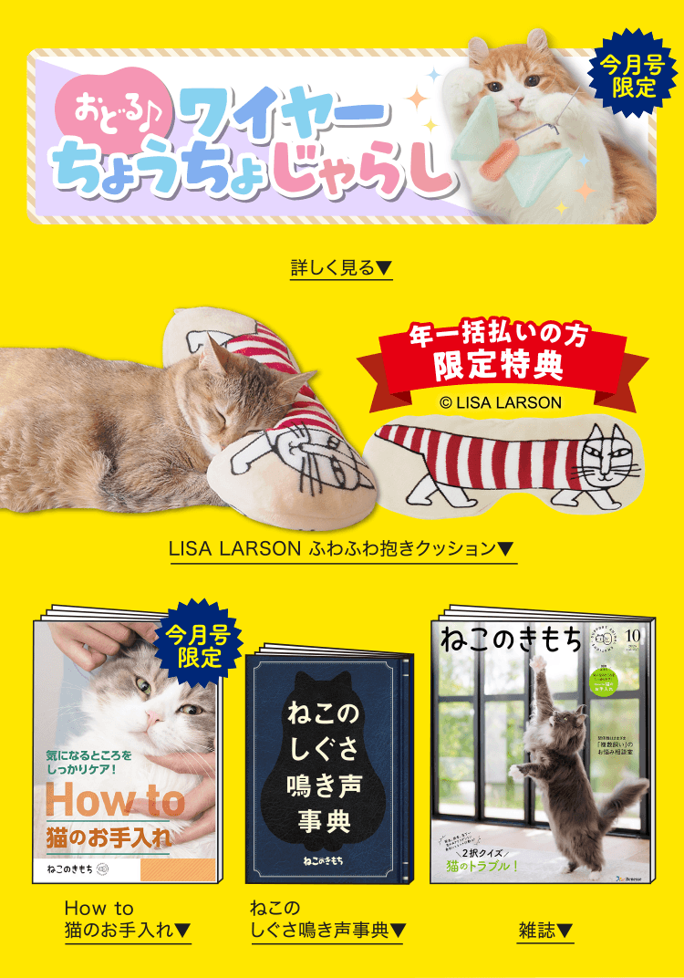 ね この き もち