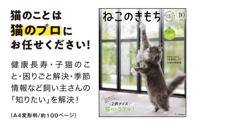 猫のことは猫のプロにお任せください！[A4判／約100ページ]