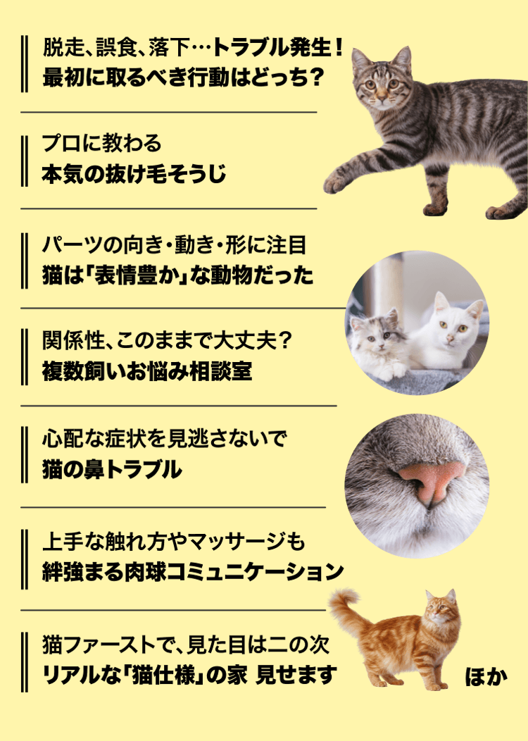 注目特集