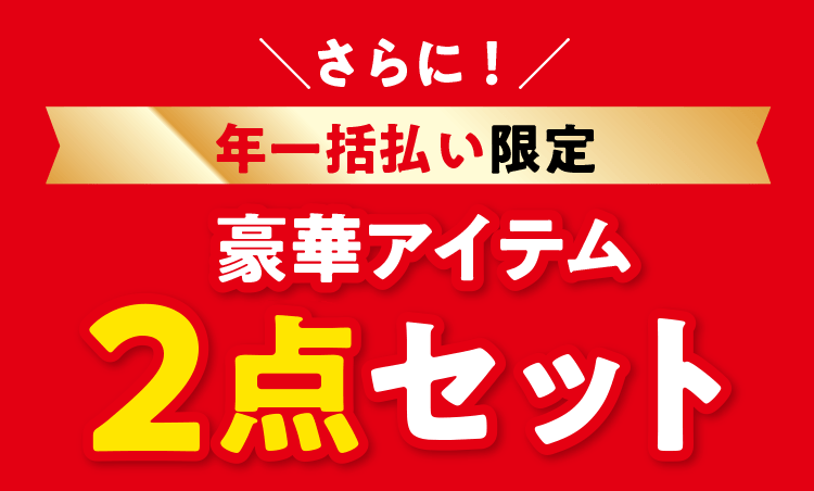 ＼さらに！／年一括払い限定 柴犬の豪華アイテム 2点セット
