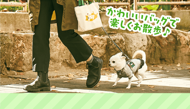 大人気「柴田さん」とコラボ！手に入るのはいぬのきもちだけ！