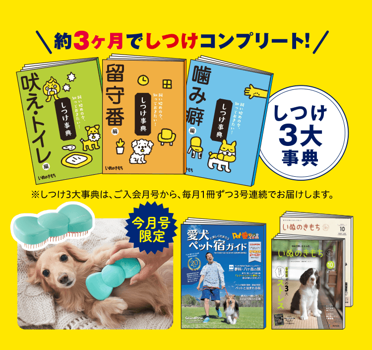 超豪華7点セット