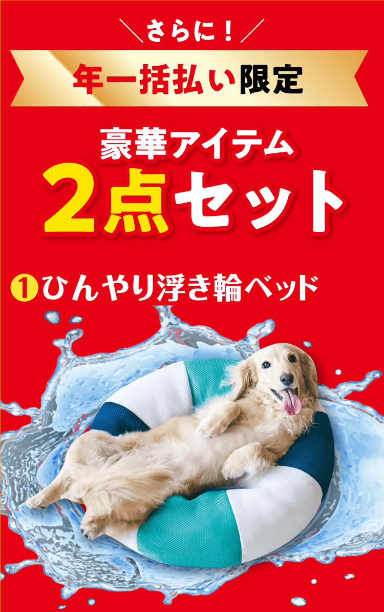 ＼さらに！／年一括払い限定豪華アイテム2点セット ❶ひんやり浮き輪ベッド