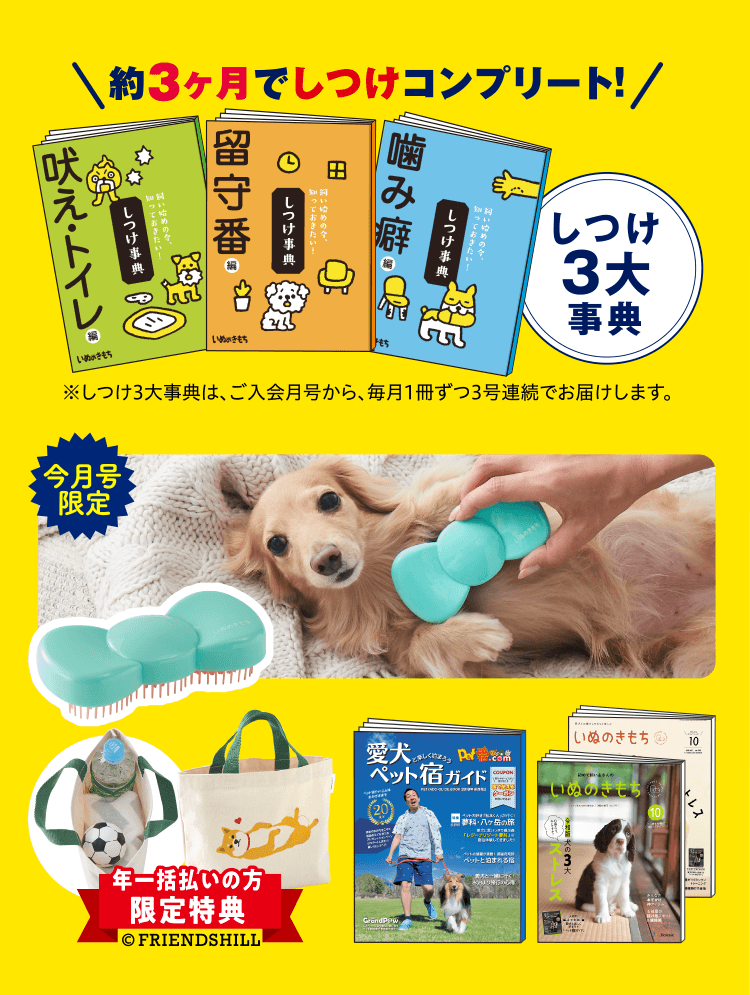 超豪華7点セット