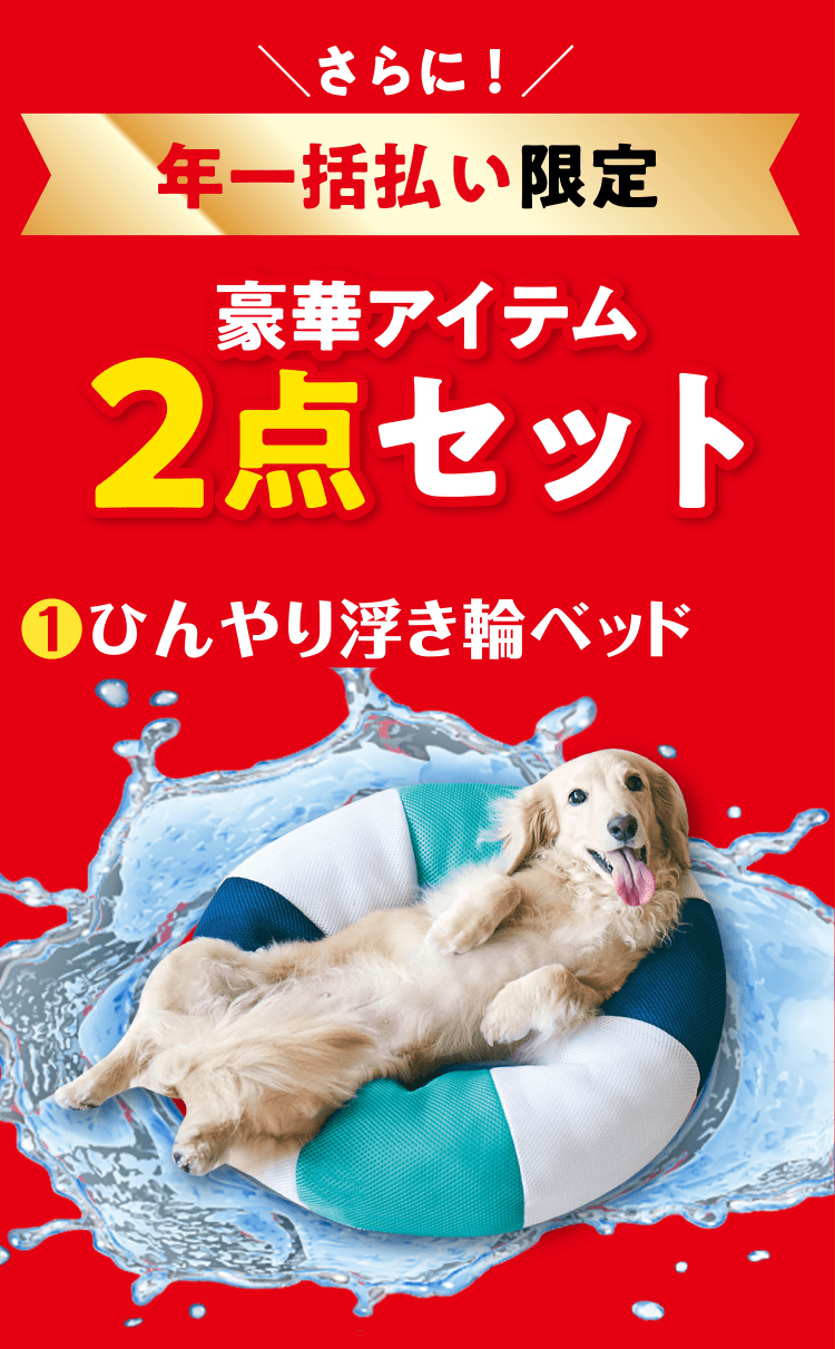 ＼さらに！／ 年一括払い限定 豪華アイテム2点セット ❶ひんやり浮き輪ベッド