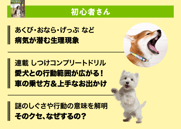 いぬのきもち　初心者さん