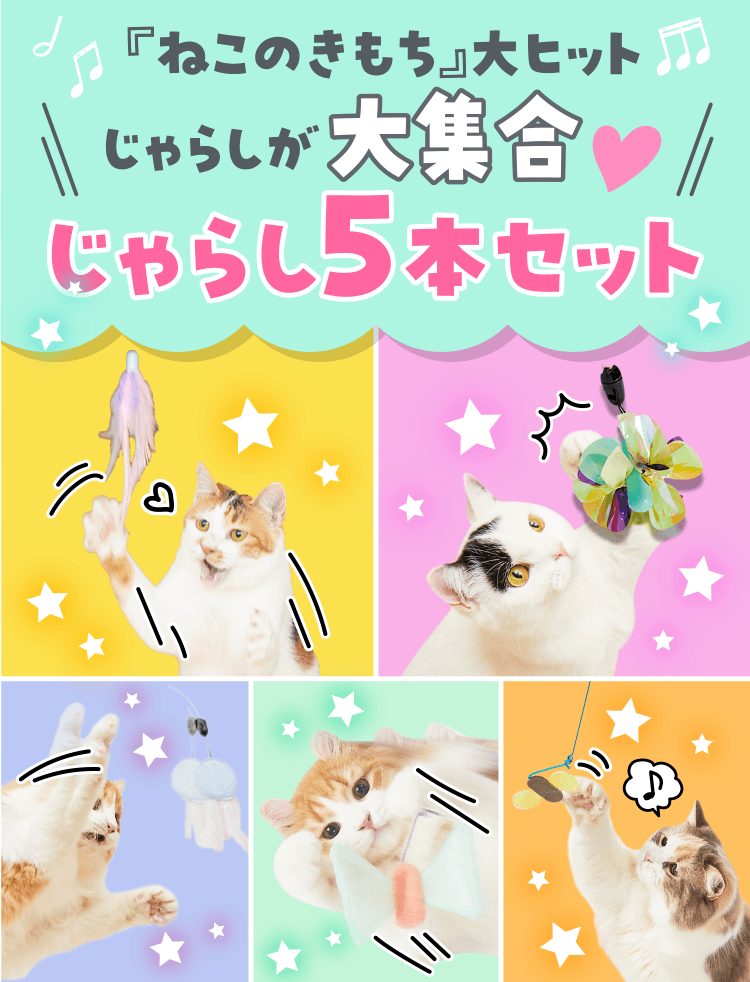 特典・ふろくのご紹介| 愛猫の健康・育て方がわかる雑誌「ねこのきもち