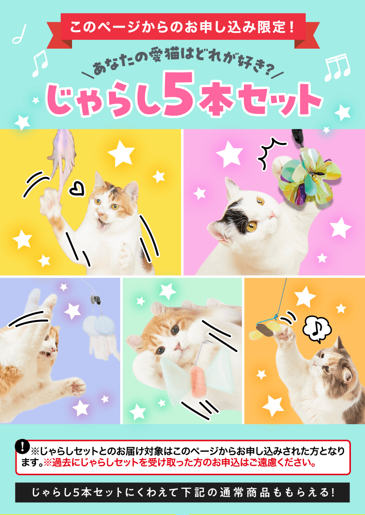 特典・ふろくのご紹介| 愛猫の健康・育て方がわかる雑誌「ねこのきもち