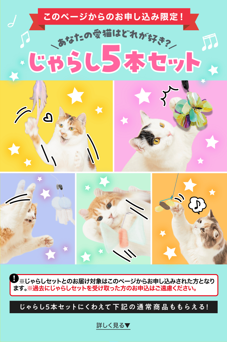 特典・ふろくのご紹介| 愛猫の健康・育て方がわかる雑誌「ねこのきもち