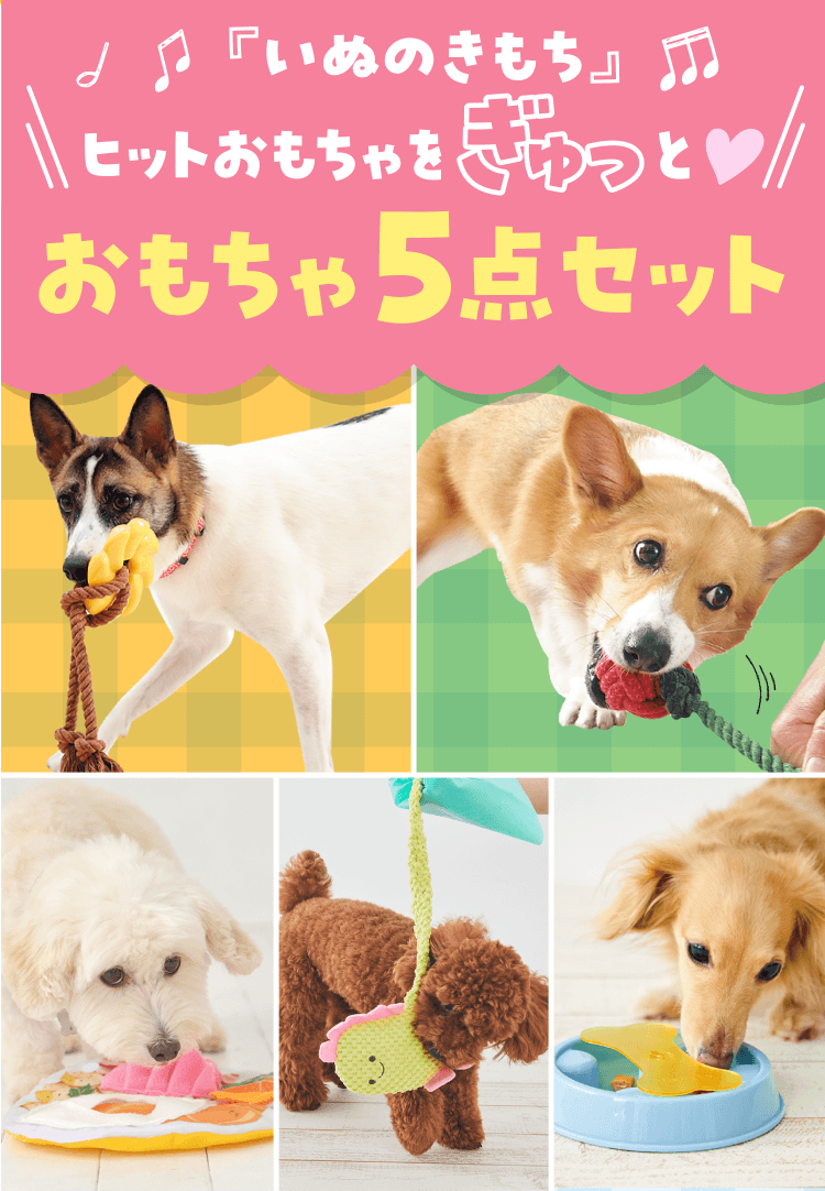 『いぬのきもち』ヒットおもちゃをぎゅとおもちゃ5点セット