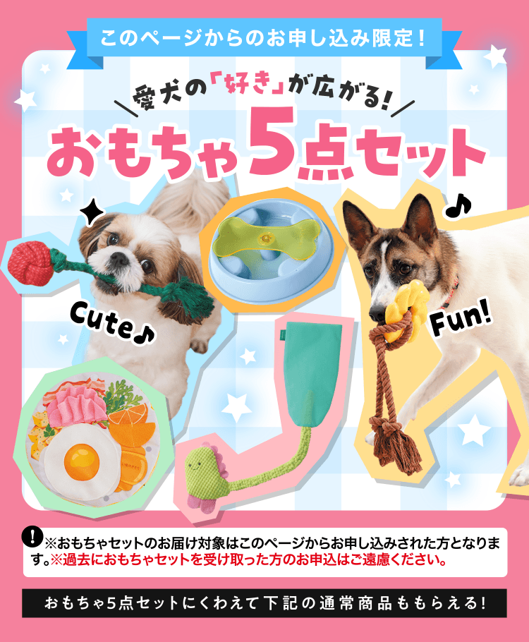 このページからのお申し込み限定！愛犬の「好き」が広がる！おもちゃ5点セット