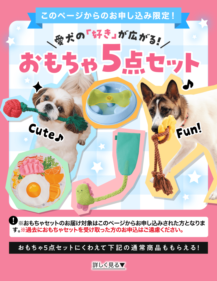 このページからのお申し込み限定！ 愛犬の「好き」が広がる！おもちゃ5点セット