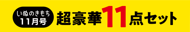 いぬのきもち11月号　超豪華11点セット