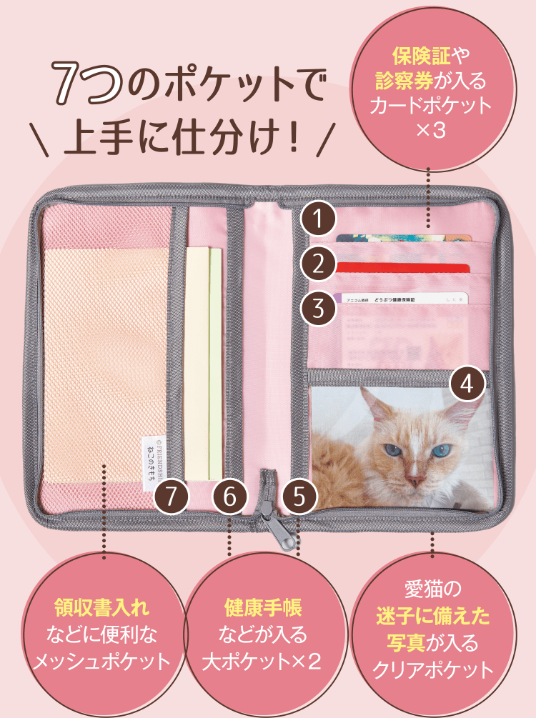 ねこねこ・プロフと商品詳細ご確認ください様 リクエスト 7点 まとめ商品 特典・ふろくのご紹介| 愛猫の健康・育て方がわかる雑誌「ねこのきもち