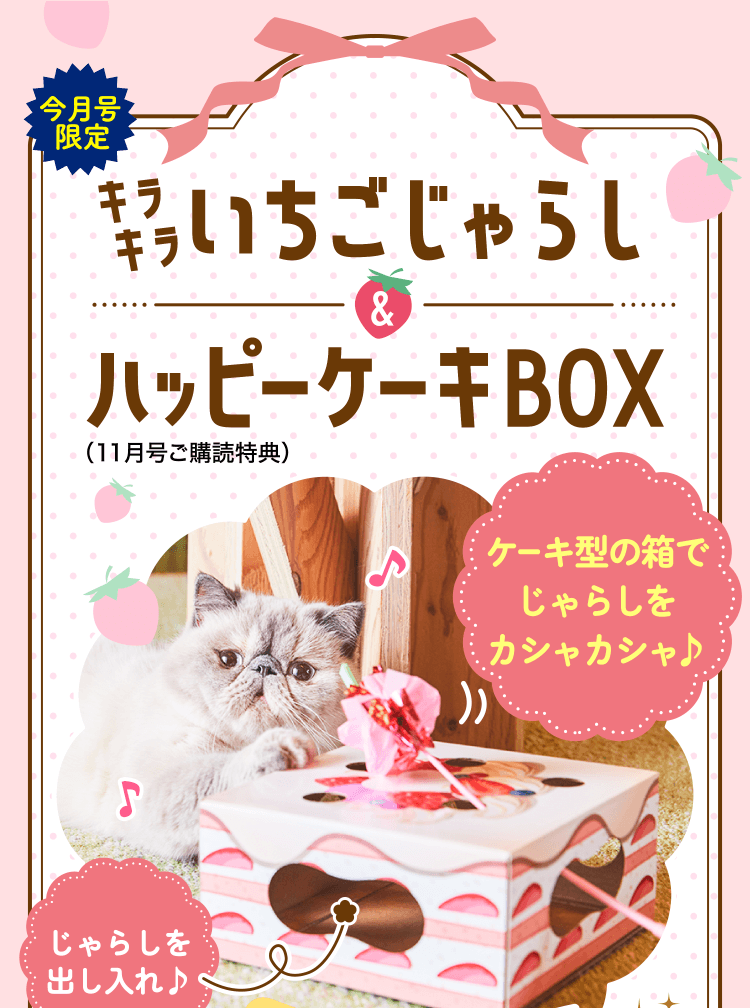 キラキラいちごじゃらしハッピーケーキBOX