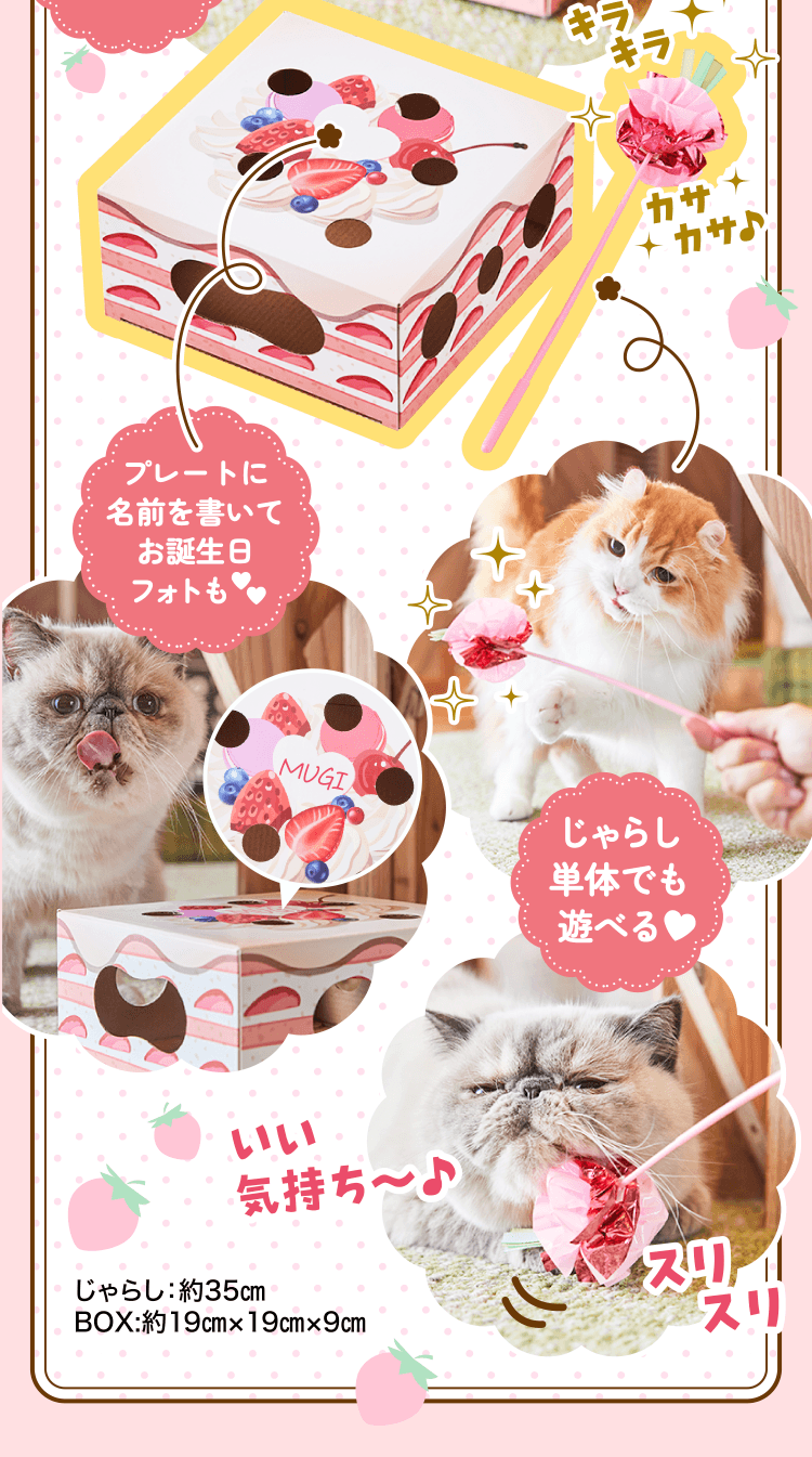 特典・ふろくのご紹介| 愛猫の健康・育て方がわかる雑誌「ねこのきもち