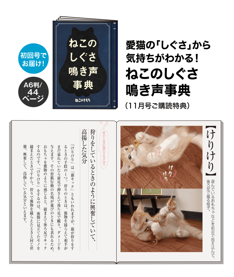 愛猫の「しぐさ」から気持ちがわかる！ねこのしぐさ鳴き声事典（11月号ご購読特典）
