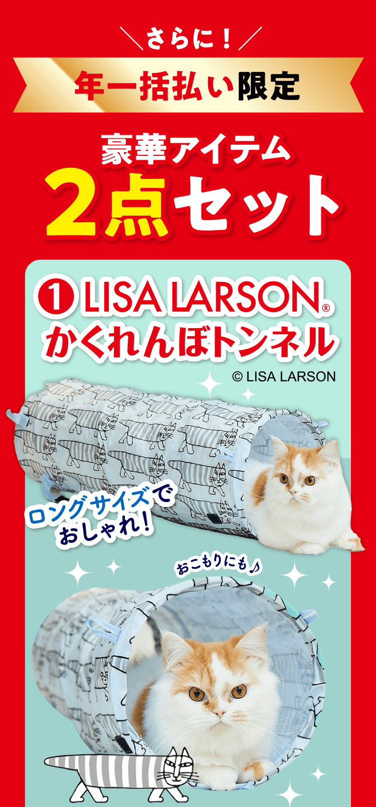 特典・ふろくのご紹介| 愛猫の健康・育て方がわかる雑誌「ねこのきもち