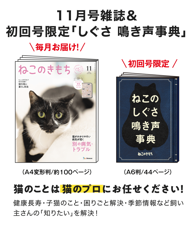 特典・ふろくのご紹介| 愛猫の健康・育て方がわかる雑誌「ねこのきもち