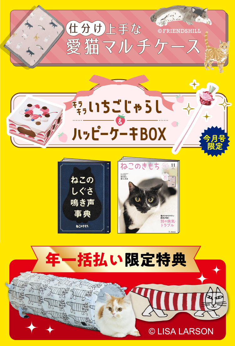超豪華4点セット