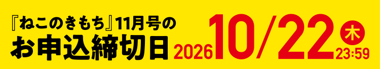 「ねこのきもち」11月号のお申込締切日 2026/10/22（木）23:59