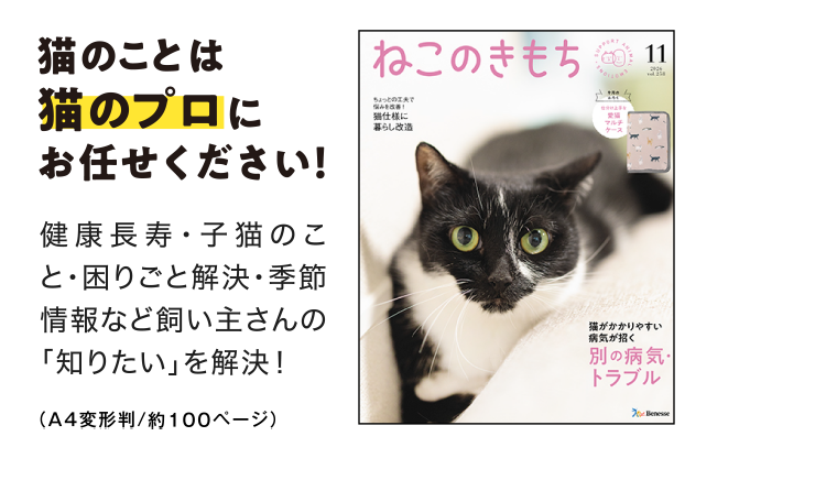猫のことは猫のプロにお任せください！[A4判／約100ページ]