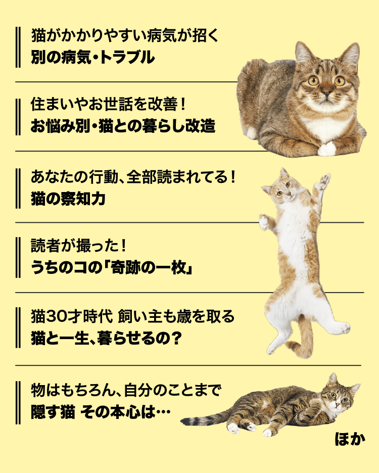 注目特集